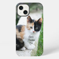 Opera Phantom Cat