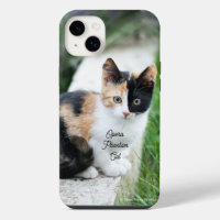Opera Phantom Cat