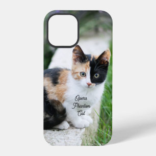 Opera Phantom Cat iPhone 12 Pro Case