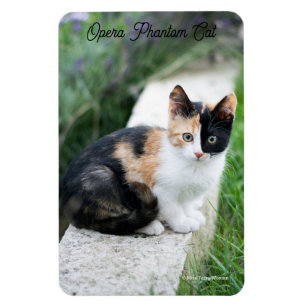 Opera Phantom Cat Magnet