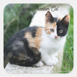 Opera Phantom Cat Square Sticker