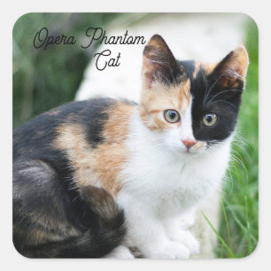 Opera Phantom Cat Square Sticker