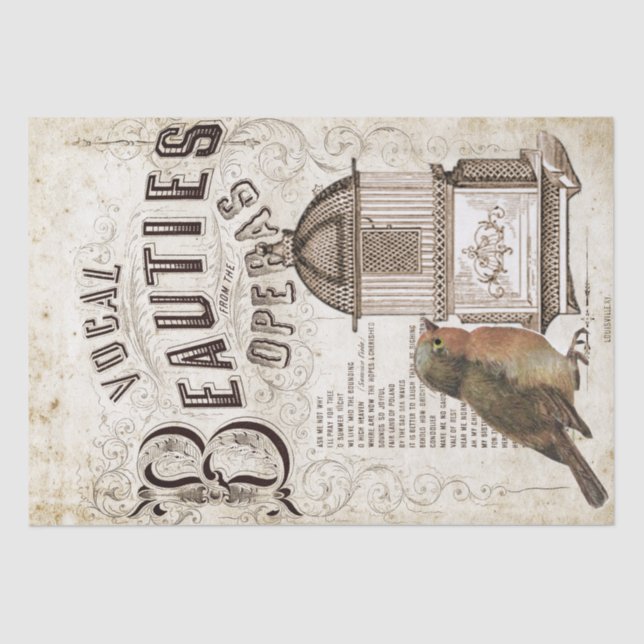 Opera Song Music Robin Bird Birdcage Decoupage     Tissue Paper (Front)