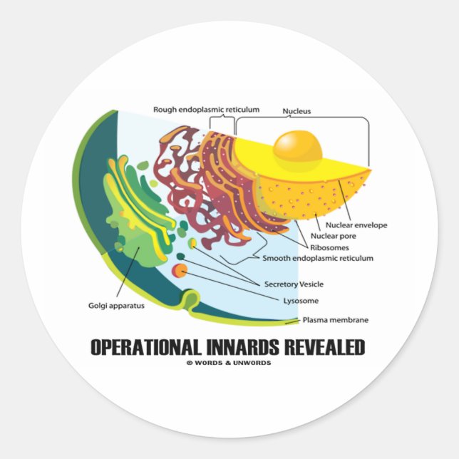 Operational Innards Revealed (Cell Biology) Classic Round Sticker (Front)