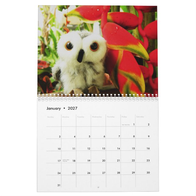 Ophelia And Friends 2009 Calendar (Jan 2027)