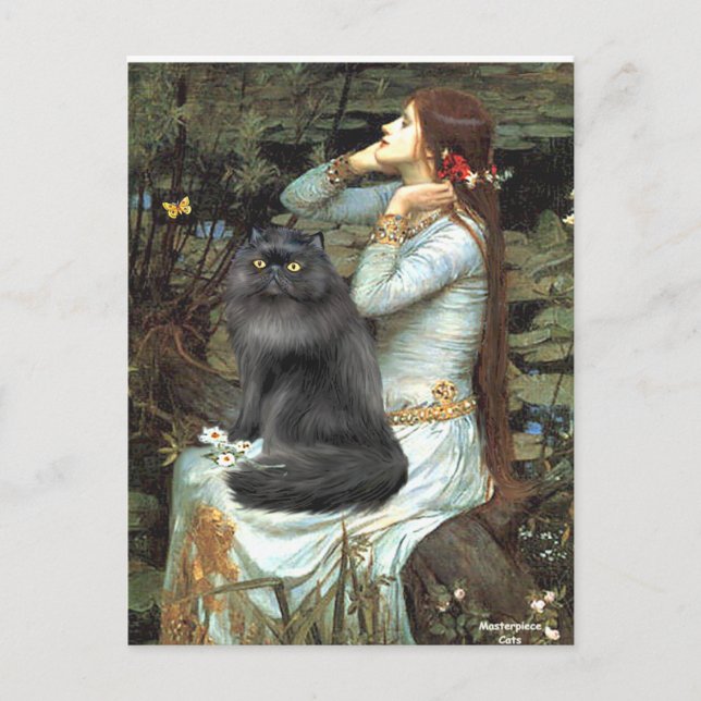 Ophelia - black Persian cat Postcard (Front)