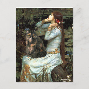 Ophelia - Persian Calico cat Postcard