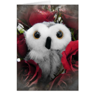 Ophelia & The Vintage Roses