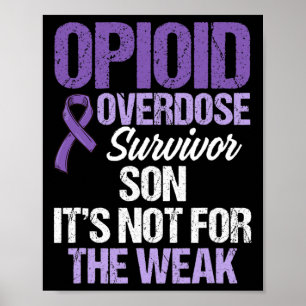 Opioid Overdose Awareness Warrior Survivor 73 Poster