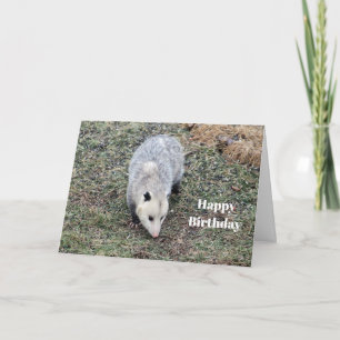 Opossm Photo Birthday Card