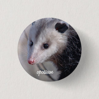 Opossum 3 Cm Round Badge