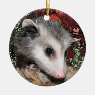 Opossum Baby Ceramic Ornament