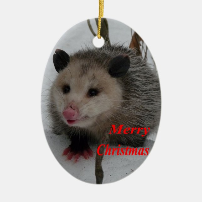 Opossum Ceramic Tree Decoration (Front)