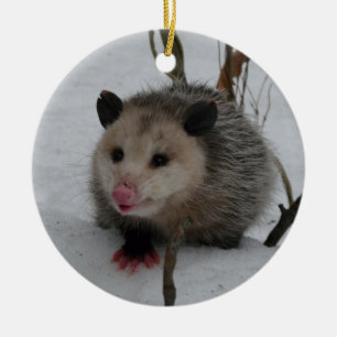 Opossum Ceramic Tree Decoration