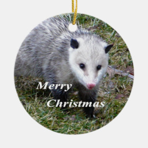 Opossum Ceramic Tree Decoration