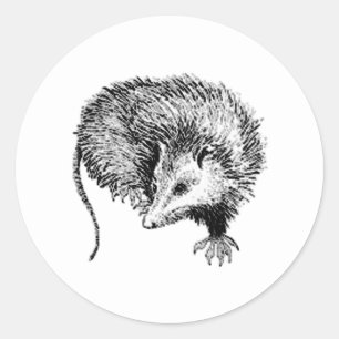 Opossum Classic Round Sticker