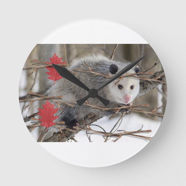 Opossum Clock (Front)