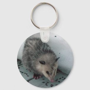 opossum key ring