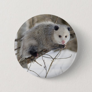 Opossum Love 6 Cm Round Badge