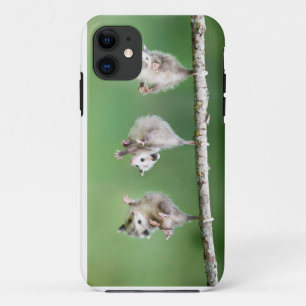 Opossum Lover Phone Case