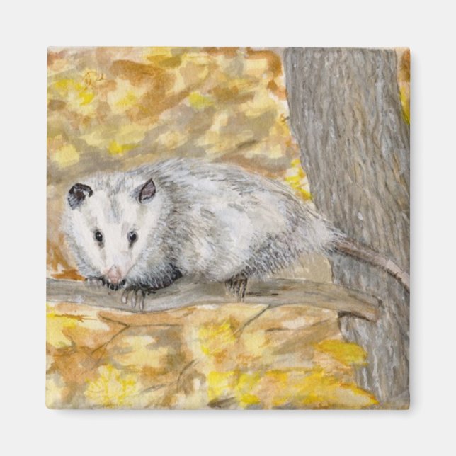 Opossum Magnet (Front)