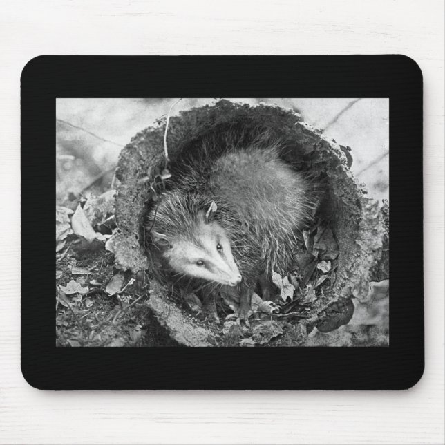 Opossum Mouse Pad (Front)