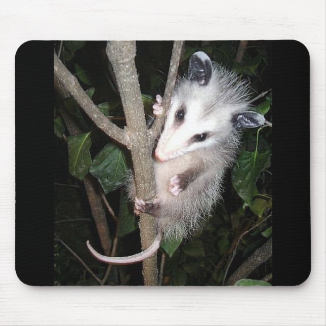 Opossum Mouse Pad (Front)