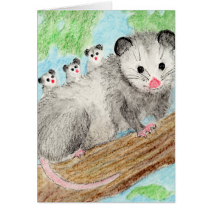 Opossum Mum