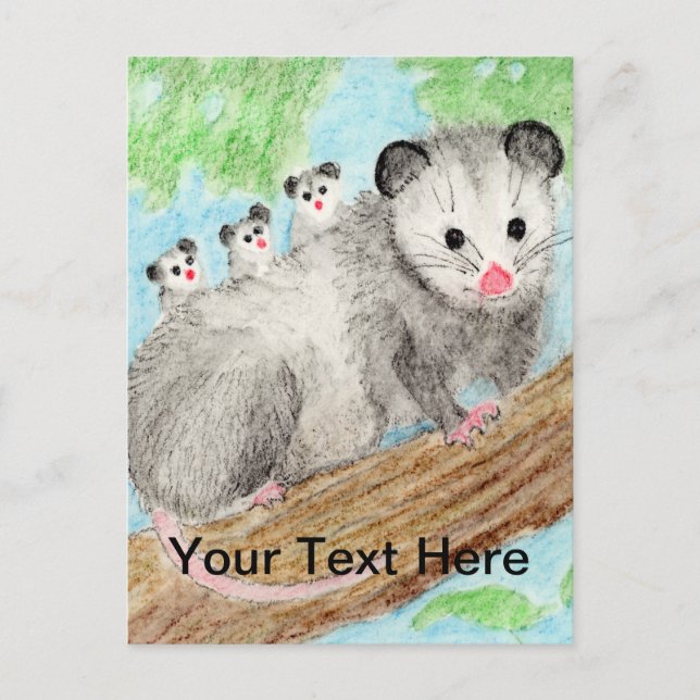 Opossum Mum Postcard (Front)