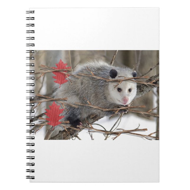 Opossum Nature Notebook (Front)