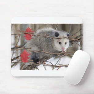 Opossum Nature White  Mouse Pad! Pad