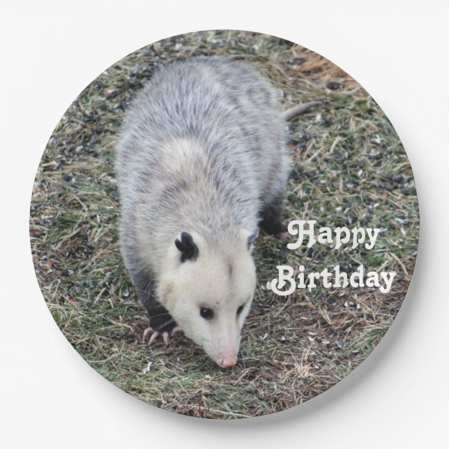 Opossum Photo Birthday Paper Plate (Front)