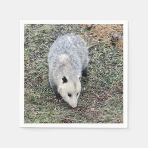 Opossum Photo Napkin