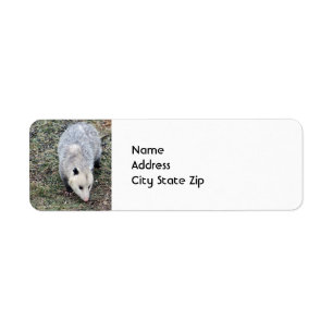 Opossum Photo Return Address Label
