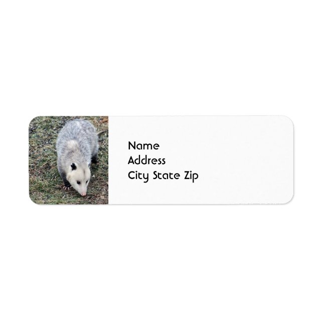 Opossum Photo Return Address Label (Front)