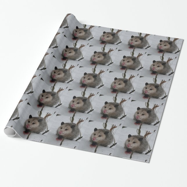 Opossum Wrapping Paper (Unrolled)