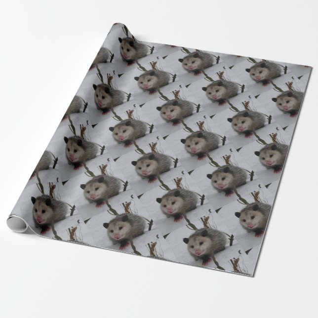 Opossum Wrapping Paper (Unrolled)
