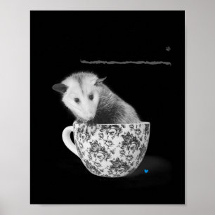 Opossums Are Your Friends Poster