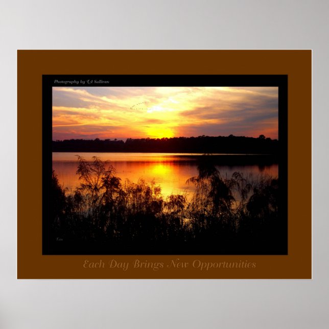 Opportunity by TDGallery Poster (Front)