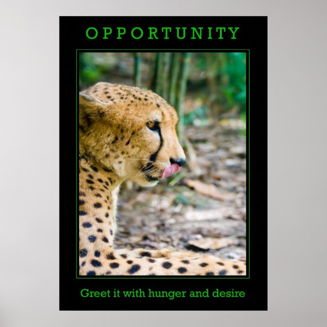 Opportunity Poster (Front)