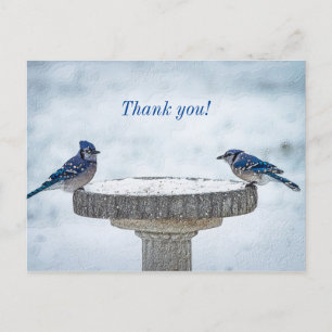 Opposite Sides Painterly Thank You Postcard