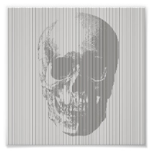 Optical illusion skull photo print