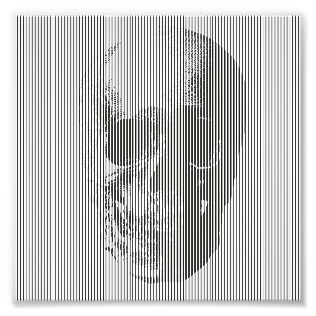 Optical illusion skull photo print (Front)