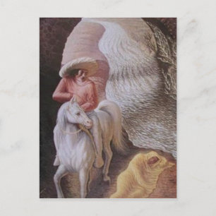 Optical Illusions Postcard