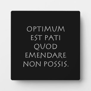 Optimum est pati quod emendare non possis plaque