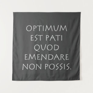 Optimum est pati quod emendare non possis tapestry