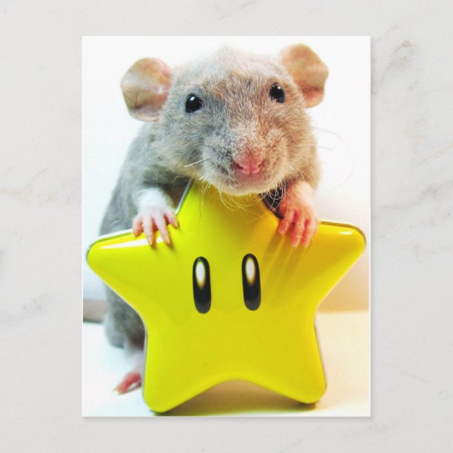 Optimus Star Postcard (Front)