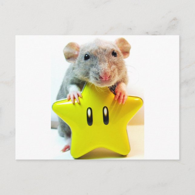 Optimus Star Postcard (Front)