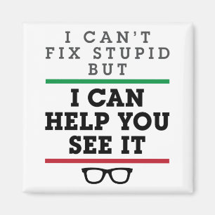 Optometrist Optometry Ophthalmology See Stupid Magnet