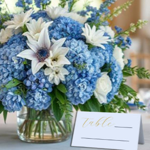 Opulent Blue Wedding Place Card